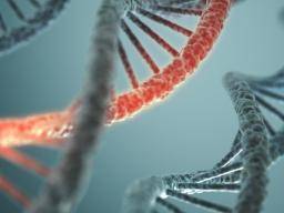 23andMe a budoucnost domácí DNA testování