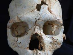 430 000 let staré zlomeniny lebky mohou predstavovat nejranejsí prípad vrazdy u lidí