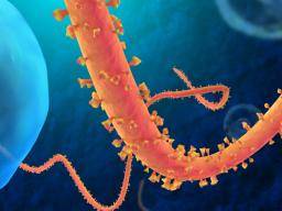 Ebola blokující léky identifikované mezi stávajícími léky