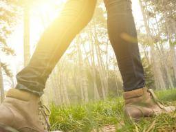 Ein gemütlicher Spaziergang kann die Stimmung und das psychische Wohlbefinden steigern