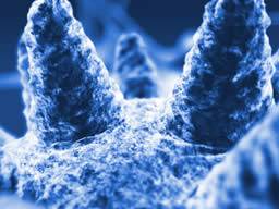 Eine Mischung aus Wasser, DNA und Goldpartikeln könnte zu einer schnelleren Erkennung von Infektionskrankheiten führen