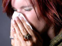 Erwachsene fangen Grippe 'nur zweimal alle 10 Jahre'