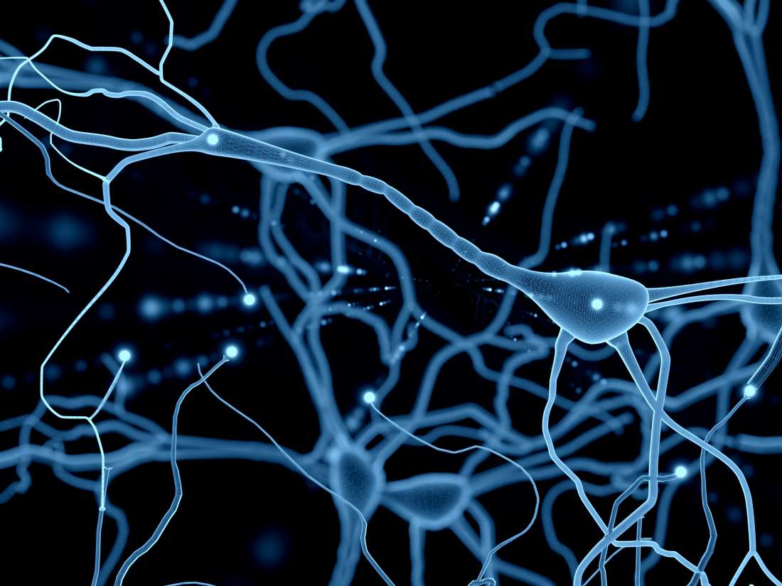 Todo lo que necesitas saber sobre las neuronas