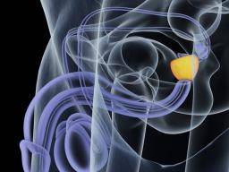 Tout ce que vous devez savoir sur les nodules de la prostate