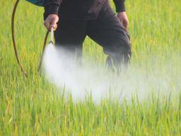 ALS: Mohla by být expozice pesticidu rizikovým faktorem?