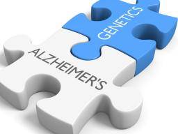 Maladie d'Alzheimer: nouveau coupable génétique trouvé