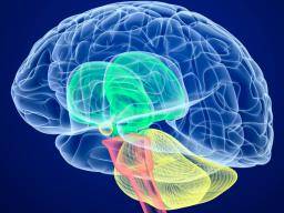 Alzheimer ist mit ungesättigten Fettsäuren im Gehirn verbunden