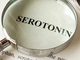Alzheimer: Un faible taux de sérotonine peut favoriser le développement