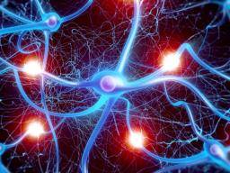 Alzheimer: Neuer Gehirnzellenverlustmechanismus aufgedeckt