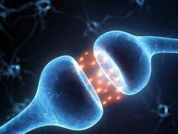 Alzheimer: neu identifizierte molekulare Mechanismen könnten zur Behandlung führen