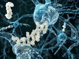 La proteína de Alzheimer 'puede acumularse en los cerebros de los jóvenes'