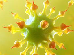 Antivirový potenciál nalezený u viru hepatitidy C