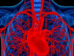 Arthritis Droge könnte schwere Herzerkrankungen heilen