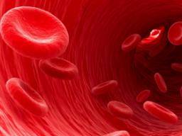 Autoimmunkrankheit: Könnten veränderte rote Blutkörperchen zu neuen Behandlungen führen?