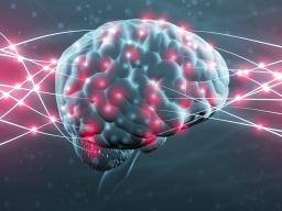 Neuronas de "hábito malo" identificadas