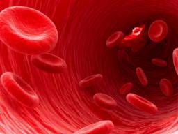 Nástroj pro ctení cárových kódu pro kmenové bunky je otázkou puvodu krevních bunek