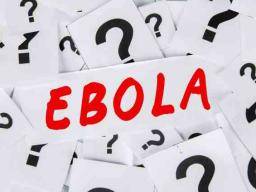 Netopýri jsou potenciálním zdrojem epidemie Ebola v západní Africe