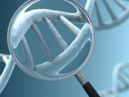 "Blinde Flecken" in der DNA können Krebsgene verbergen