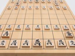 Eine Gehirnstudie von Shogi-Spielern zeigt neue Einsichten in intuitive Strategieentscheidungen