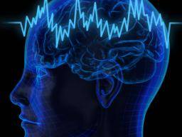 Brainové vlny predpovídají rychlost ucení druhého jazyka