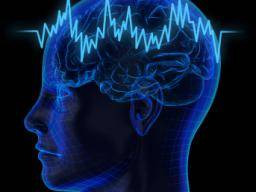 Brains visuelles System verarbeitet auch Geräusche