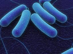 Durchbruch könnte verhindern, dass Bakterien resistent gegen Medikamente werden