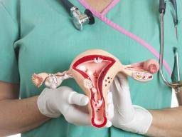 El cadmio puede aumentar el riesgo de cáncer de endometrio