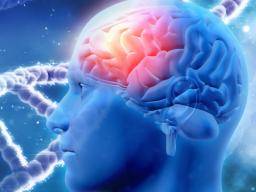 Nehomogenita vápníku v mozkových bunkách muze vyvolat Alzheimerovu chorobu