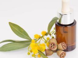 Können ätherische Öle zur Behandlung von Asthma eingesetzt werden?