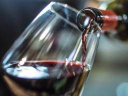¿Puede el vino proteger sus neuronas? Estudio investiga