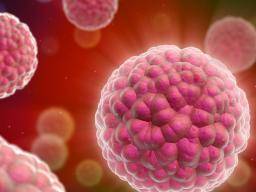 Rakovinové bunky se maskují jako imunitní bunky a sírí se pres lymfatický systém