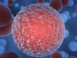 Krebsentwicklung: Wie die Naturgesetze das Tumorwachstum vorhersagen können