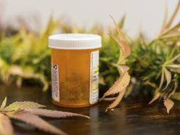 El cannabis para el dolor y el TEPT "carece de pruebas de alta calidad"