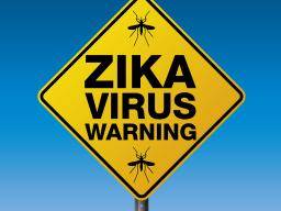 Fallstudie: Zika-Virus verursacht Totgeburt?