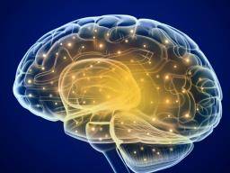 Kognitivní behaviorální terapie mení mozky Tourettova syndromu