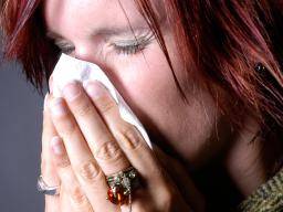Kalte Nasen sind anfälliger für Erkältungen