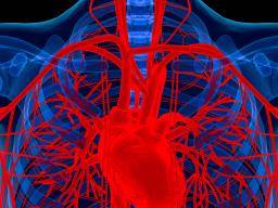 Eine gemeinsame Genvariante, die Cholesterin beeinflusst, kann das Herzrisiko erhöhen
