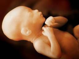 Spolecné screeningové testy nevhodné pro predpovedi predcasného porodu
