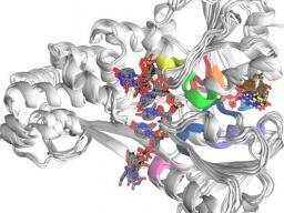 La simulación por computadora de la enzima mejora la comprensión de la hepatitis C