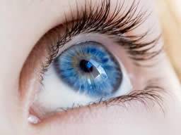 Kontaktlinsen empfohlen für Babys nach Kataraktoperation