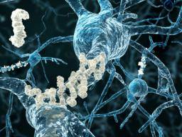 Könnte Alzheimer durch medizinische Verfahren übertragen werden?
