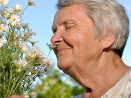 Könnten Augen- und Geruchstests eine frühe Alzheimer-Diagnose bieten?