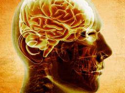 Une glycémie élevée pourrait-elle être une cause de la maladie d'Alzheimer?