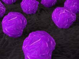 La greffe de cellules souches pourrait-elle guérir la SEP?