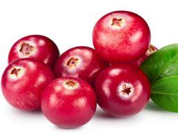 Cranberries pomáhá infekcím mocových cest, ale ne jako stáva
