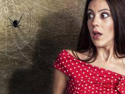 Creepy crawlies: pourquoi tu es né pour craindre les araignées et les serpents