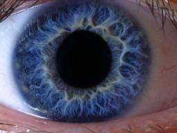 Heilung für seltene Form der Farbenblindheit tritt näher mit der neuen Gen Einsicht
