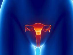 Aktuelle US-Gebärmutterhalskrebs-Screening-Richtlinien "Unterschätzung der Prävalenz"