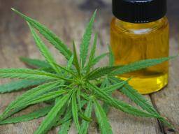 Le cannabis «tamponné» peut libérer des toxines cancéreuses