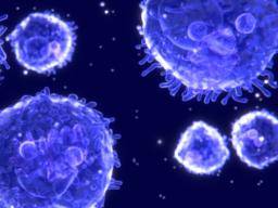 Gefährliche Leukämiezellen können gezwungen werden, zu harmlosen Immunzellen zu reifen, sagen Wissenschaftler